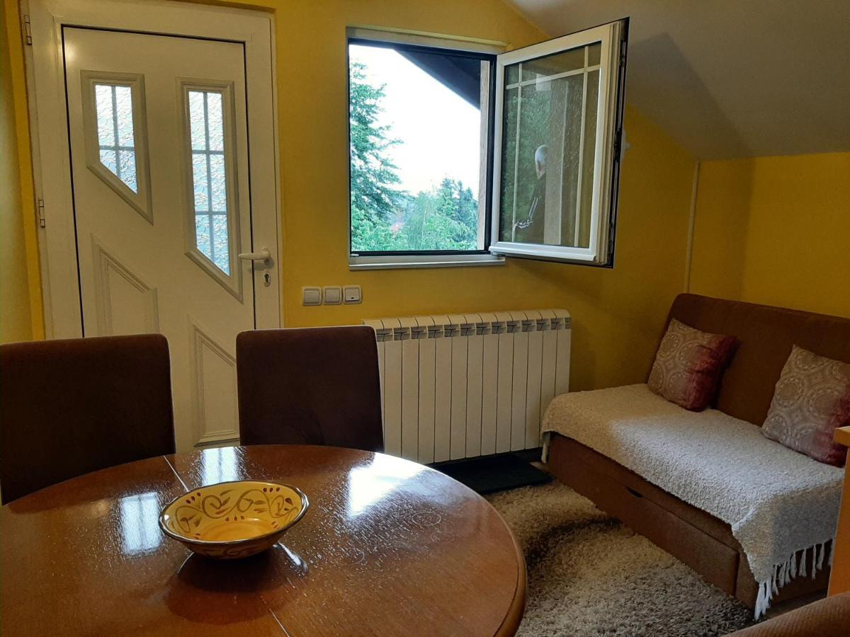 Apartments Junior Zlatibor Extérieur photo